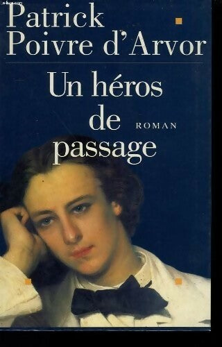 Livrenpoche : Un héros de passage - Patrick Poivre d'Arvor - Livre