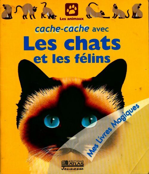 Livrenpoche : Cache-cache avec les chats et les félins - Collectif - Livre