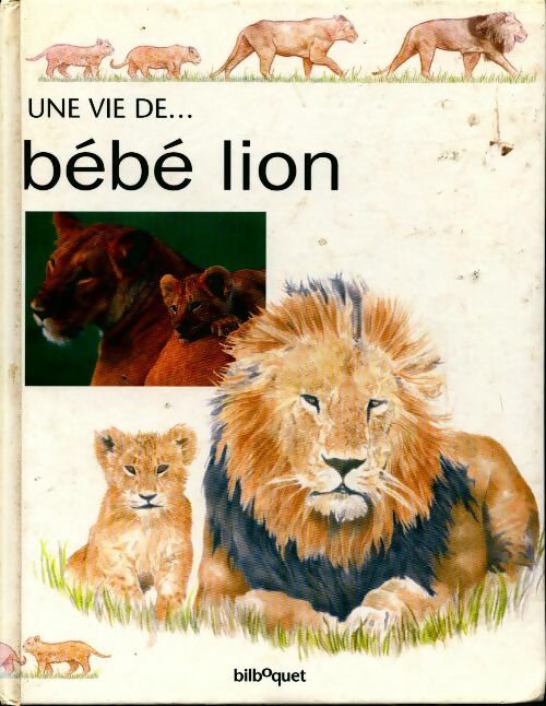 Livrenpoche : Bébé lion - Honor Head - Livre