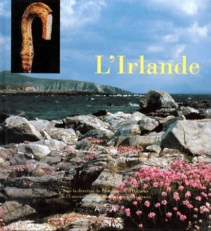 Livrenpoche : L'Irlande - Albert D'Haenens - Livre
