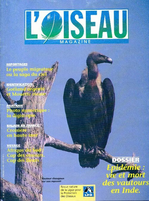 Livrenpoche : L'oiseau mag n°65 : Epidémie : Vie et mort des vautours d'Inde - Collectif - Livre