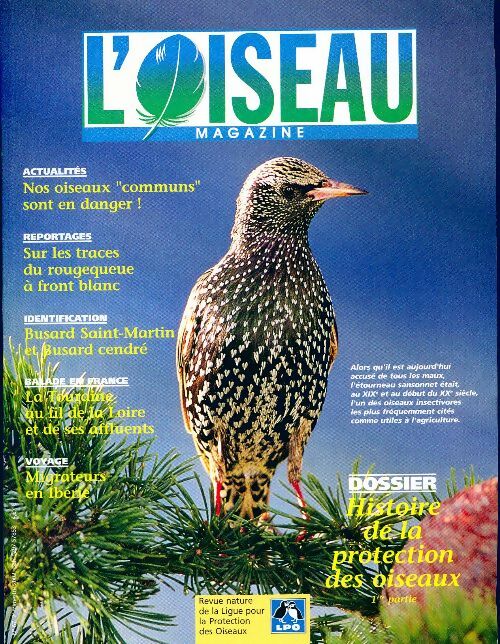 L'oiseau mag n°67 : Histoire de la protection des oiseaux 1ère partie - Collectif -  L'oiseau Mag - Livre