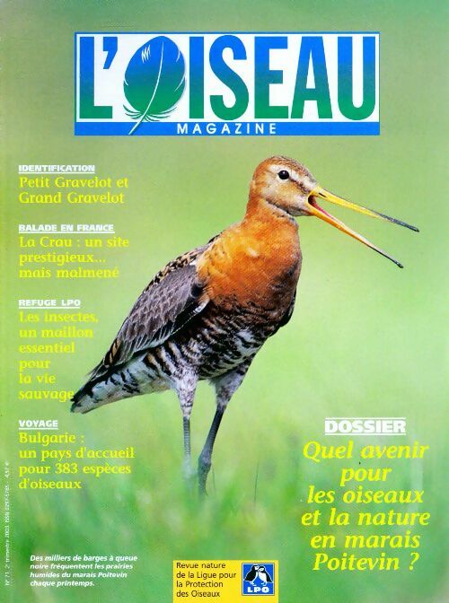 Livrenpoche : L'oiseau mag n°71 : Quel avenir pour les oiseaux et la nature en marais Poitevin ? - Collectif - Livre