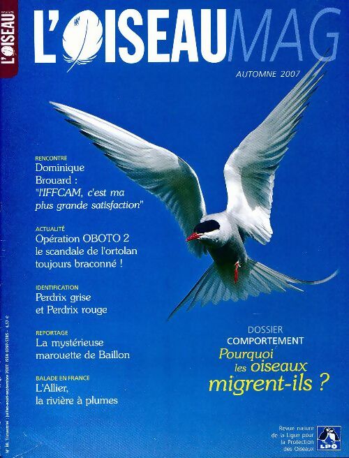 L'oiseau mag n°88 : Pourquoi les oiseaux migrent-ils ? - Collectif -  L'oiseau Mag - Livre