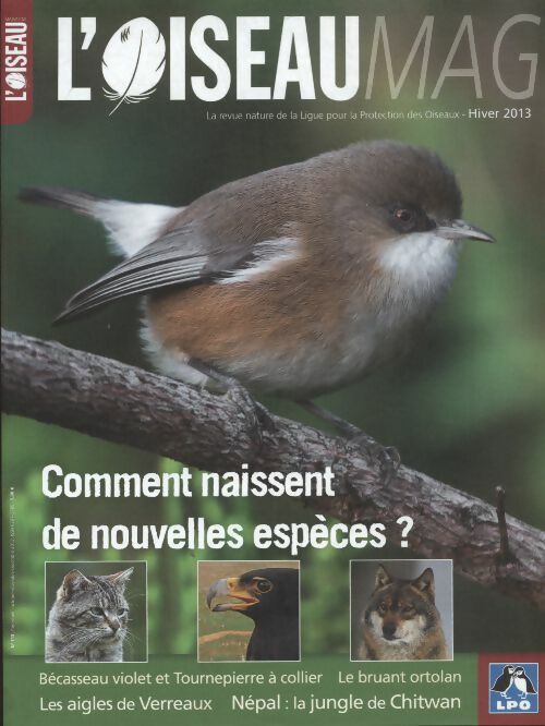 Livrenpoche : L'oiseau mag n°113 : Comment naissent de nouvelles espèces ? - Collectif - Livre