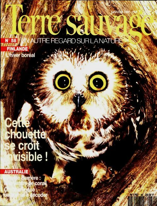 Livrenpoche : Terre sauvage n°58 : Cette chouette se croit invisible - Collectif - Livre