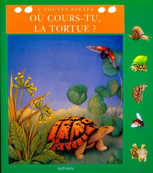 Livrenpoche : Où cours-tu, la tortue ! - Ariane Chottin - Livre