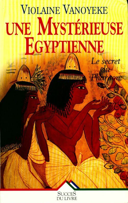 Une mystérieuse égyptienne - Violaine Vanoyeke -  Succès du livre - Livre