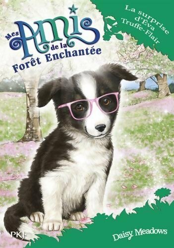 Livrenpoche : Mes amis de la forêt enchantée Tome X : La surprise d'Eva truffe-flair - Daisy Meadows - Livre