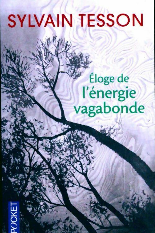Livrenpoche : Eloge de l'énergie vagabonde - Sylvain Tesson - Livre