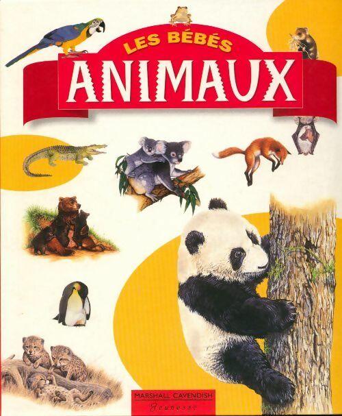 Livrenpoche : Les bébés animaux - Andrew Brown - Livre
