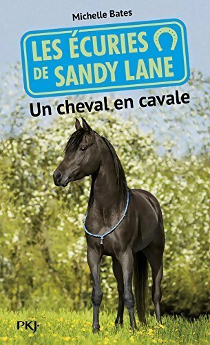Livrenpoche : Les écuries de Sandy Lane Tome VII : Un cheval en cavale - Michelle Bates - Livre
