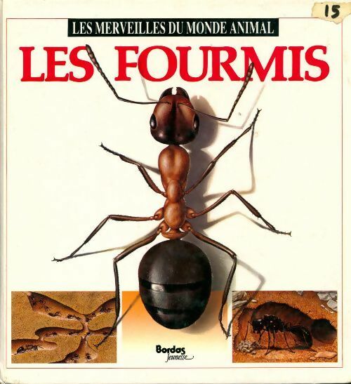 Les fourmis - Maria-Angels Julivert -  Bordas GF - Livre