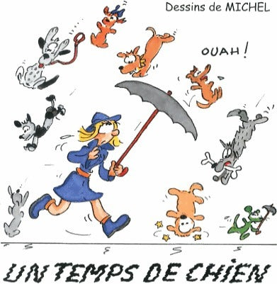 Livrenpoche : Un temps de chien - Michel - Livre