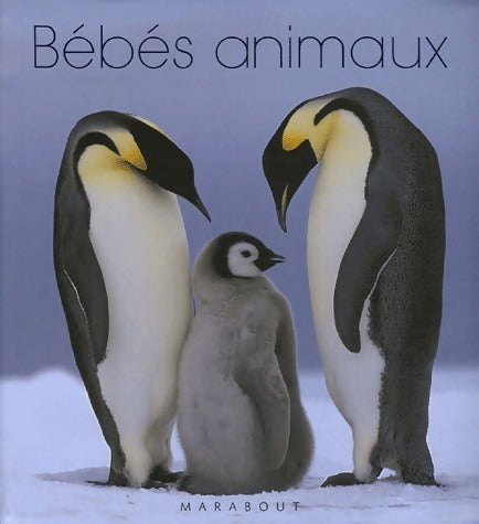 Livrenpoche : Bébés animaux - Catherine Laulhère-Vigneau - Livre