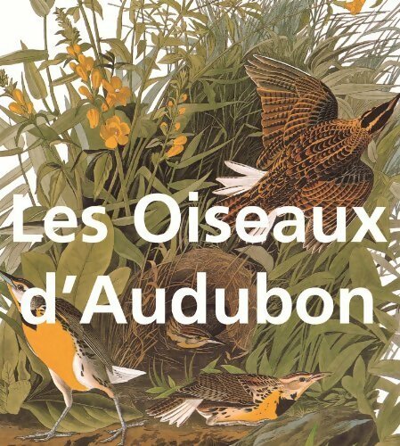 Livrenpoche : Oiseaux d'Audubon - John James Audubon - Livre