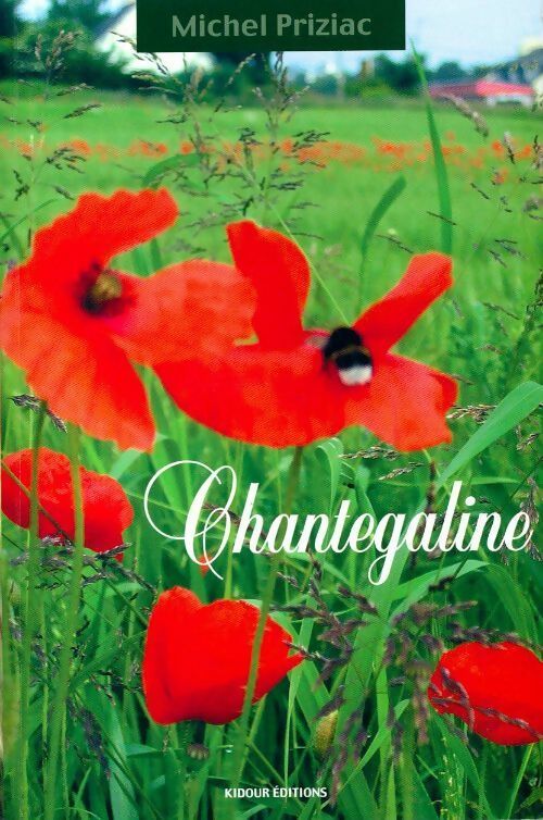Livrenpoche : Chantegaline - Michel Priziac - Livre