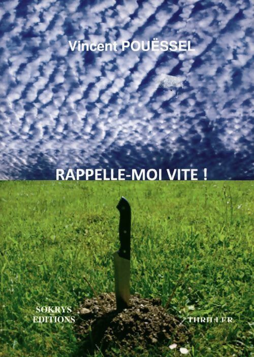 Livrenpoche : Rappelle-moi vite ! - Vincent Pouëssel - Livre