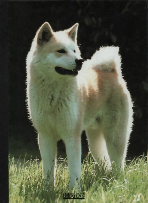 Livrenpoche : Mon compagnon le chien - Collectif - Livre