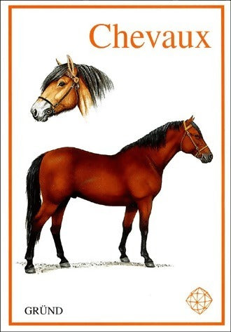 Livrenpoche : Chevaux - Héléna Kholova - Livre