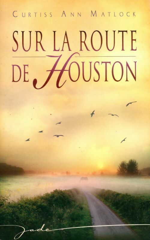 Livrenpoche : Sur la route de Houston - Curtiss Ann Matlock - Livre