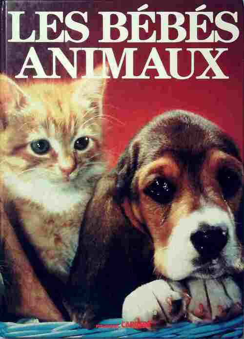 Livrenpoche : Les bébés animaux - Tessa Board - Livre