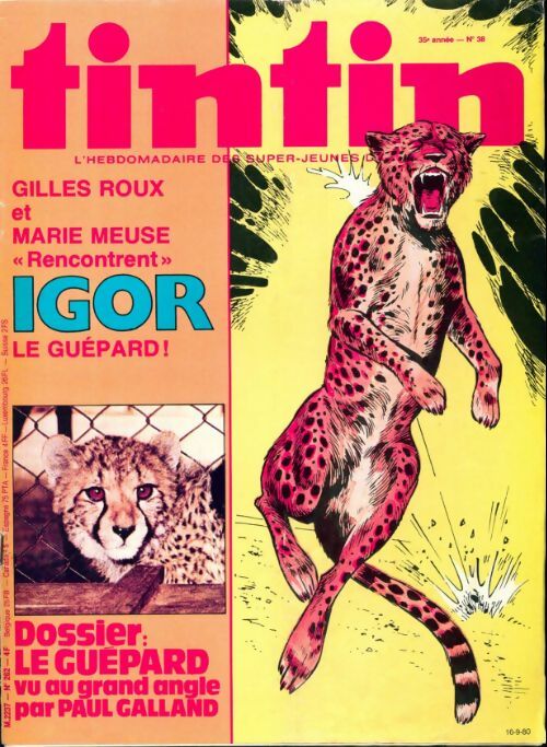 Livrenpoche : Tintin n°262 : Le guépard - Collectif - Livre