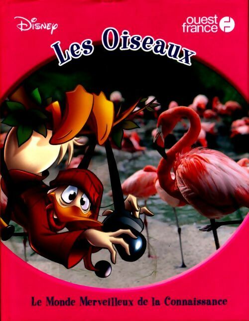 Livrenpoche : Les oiseaux - Jinny Johnson - Livre