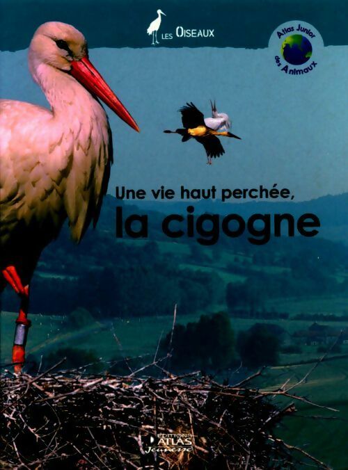 Livrenpoche : Une vie haut perchée, la cigogne - Collectif - Livre