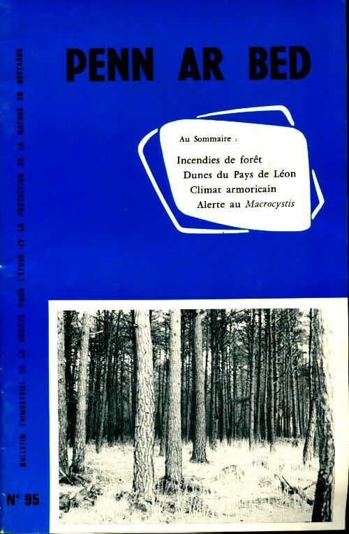Livrenpoche : Penn ar bed n°95 - Collectif - Livre