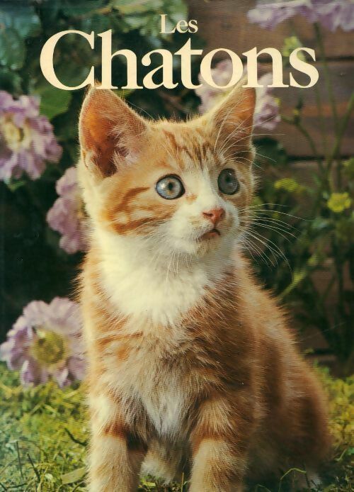 Livrenpoche : Les chatons - Angela Sayer - Livre