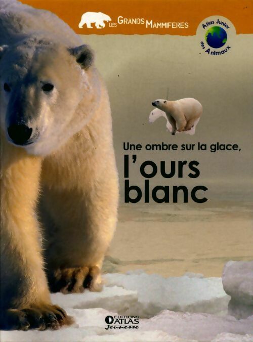 Livrenpoche : Une ombre sur la glace l'ours blanc - Collectif - Livre