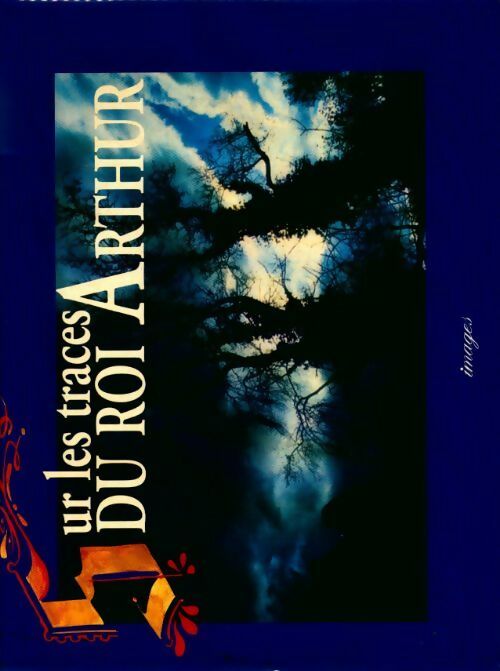 Livrenpoche : Sur les traces du roi Arthur / Arthur et le Graal - Hubert Lampo, Pieter Paul Koster - Livre