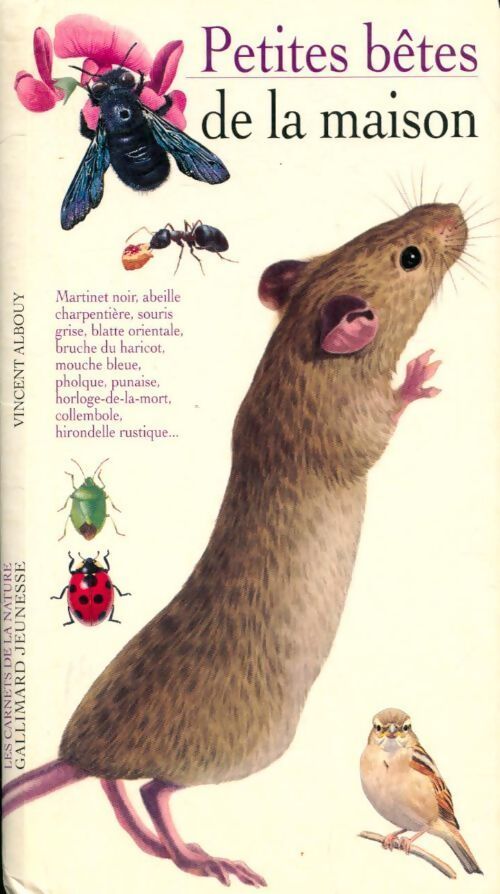 Livrenpoche : Petites bêtes de la maison - Vincent Albouy - Livre