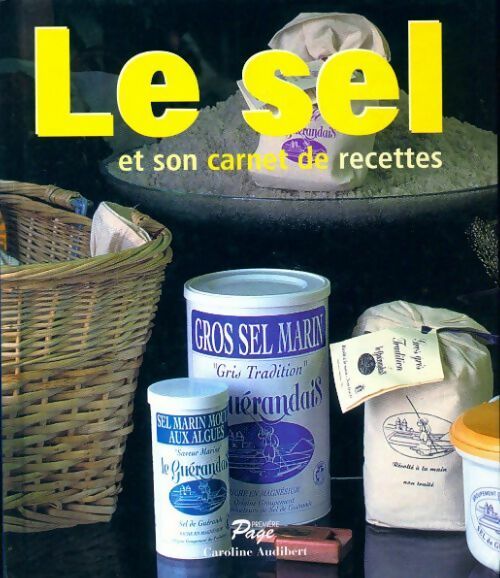 Livrenpoche : Le sel et son carnet de recette - Caroline Audibert - Livre