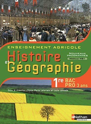 Livrenpoche : Histoire et géographie Première BAC Pro - Collectif - Livre