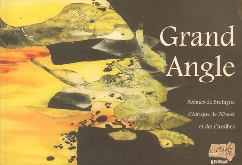 Livrenpoche : Grand angle - Collectif - Livre