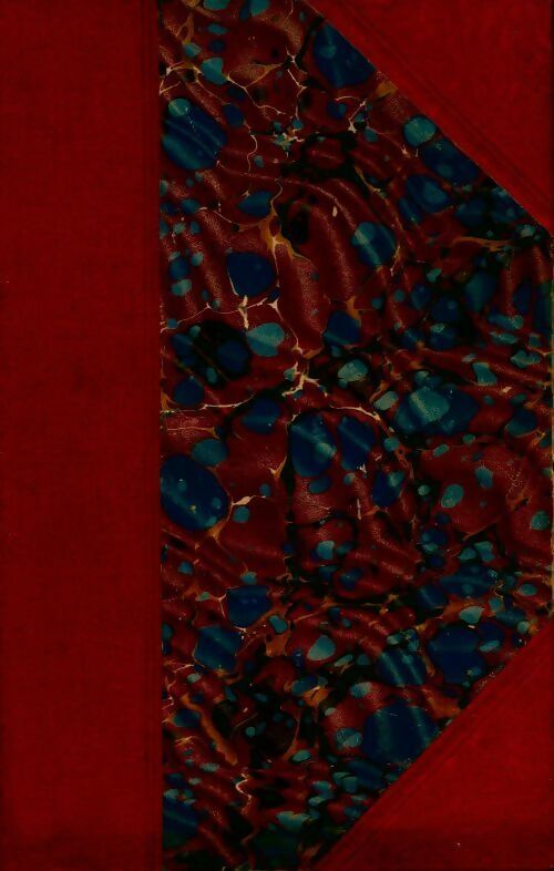 Livrenpoche : La bâillonnée Tome I : entre deux haines - Pierre Decourcelle - Livre