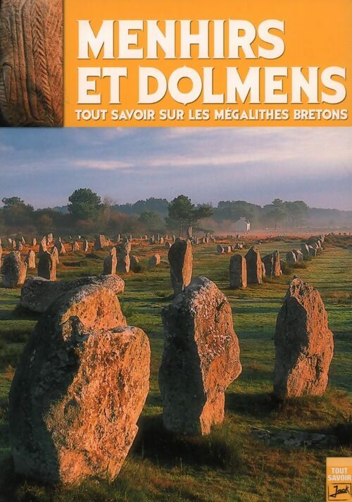 Livrenpoche : Menhirs et dolmens - Hélène Vincent-Pichancourt - Livre