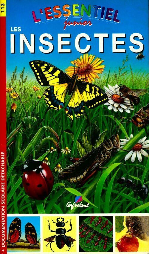 Les insectes - Collectif - Livre