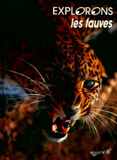 Livrenpoche : Les fauves - Collectif - Livre