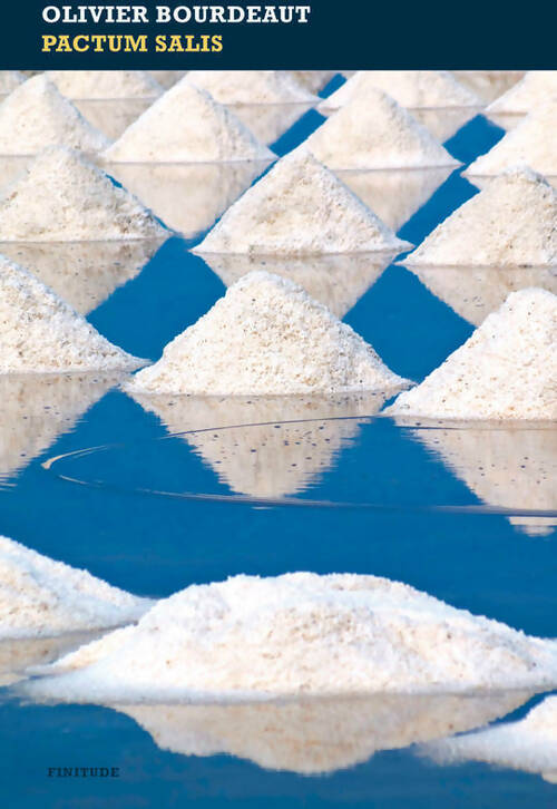 Livrenpoche : Pactum salis - Olivier Bourdeaut - Livre