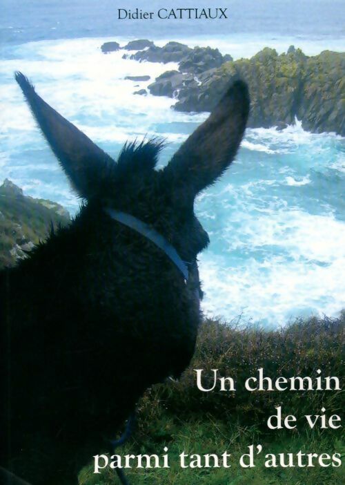 Livrenpoche : Un chemin de vie parmi tant d'autres - Didier Cattiaux - Livre