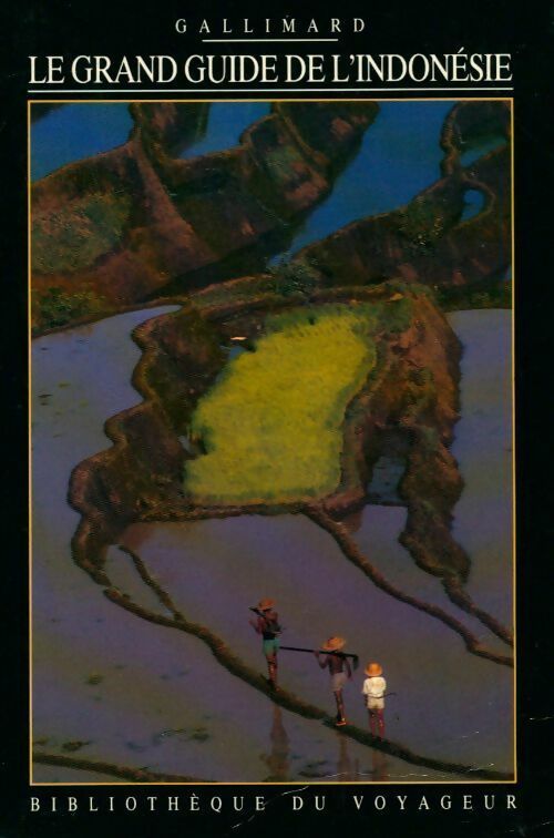 Livrenpoche : Le grand guide de l'Indonésie - Collectif - Livre