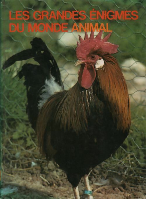 Livrenpoche : Les animaux domestiques Tome III - Yves Verbeek - Livre