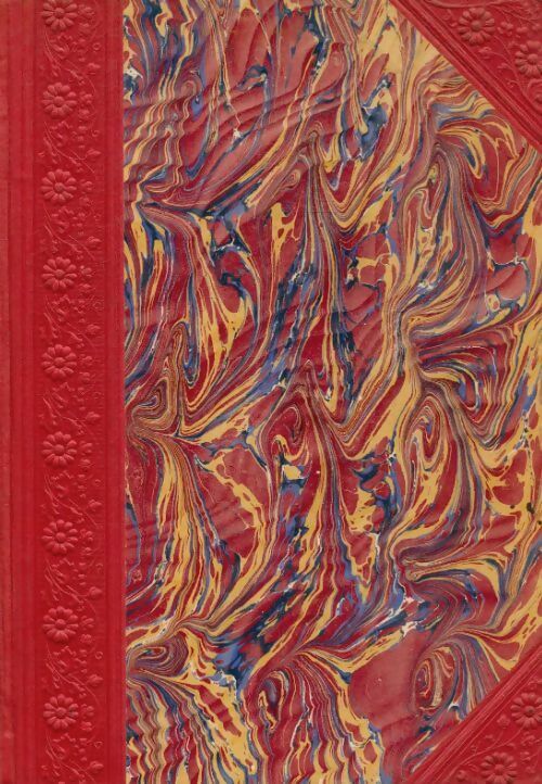 Livrenpoche : Les chrétiens célèbres au XIXe siècle - Albert Larthe - Livre
