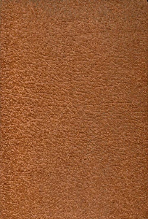 Livrenpoche : La princesse de Clèves / La princesse de Montpensier - Mme De Lafayette - Livre