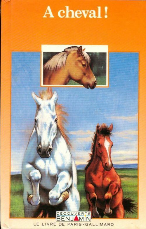 Livrenpoche : A cheval ! - Collectif - Livre