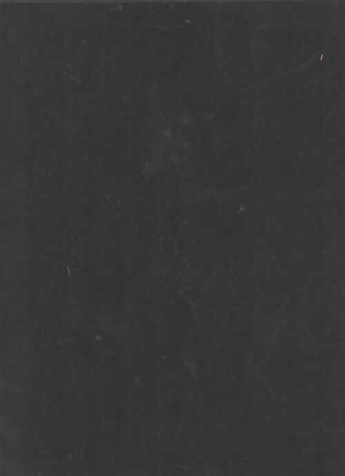 Livrenpoche : Objectif photo Tome X - Collectif - Livre