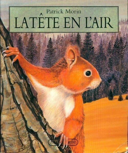 Livrenpoche : La tête en l'air - Patrick Morin - Livre